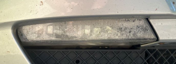 10_NS_feucht.JPG 10_NS_feucht.JPG