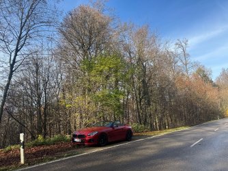 IMG_6853.jpeg IMG_6853.jpeg