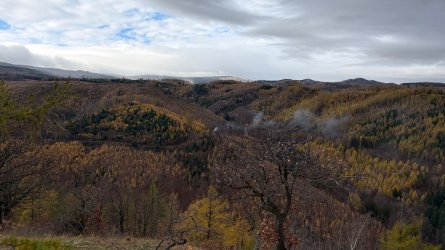 IMG_0228.jpeg IMG_0228.jpeg