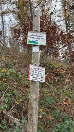 IMG_0233.jpeg IMG_0233.jpeg