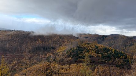 IMG_0242.jpeg IMG_0242.jpeg