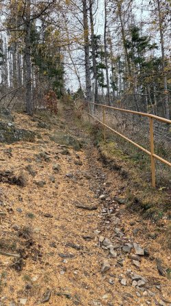 IMG_0238.jpeg IMG_0238.jpeg