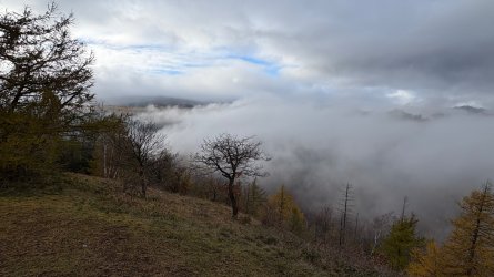 IMG_0245.jpeg IMG_0245.jpeg