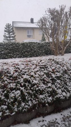 WhatsApp Image 2025-11-19 at 11.24.01.jpeg