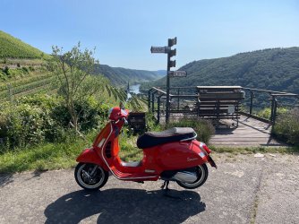 IMG_5104.jpeg IMG_5104.jpeg