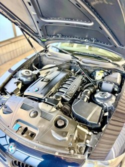 IMG_0579.jpeg IMG_0579.jpeg