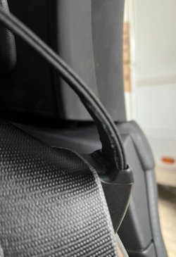 1763916278614.jpeg 1763916278614.jpeg