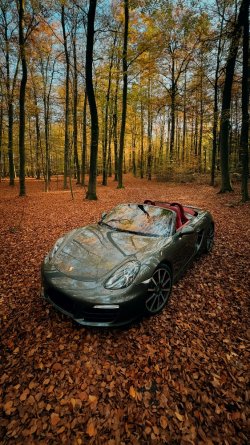 IMG_7541.jpeg IMG_7541.jpeg