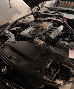 IMG_4671.jpeg IMG_4671.jpeg