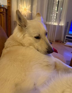 IMG_9472.jpeg IMG_9472.jpeg