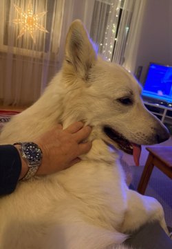 IMG_9476.jpeg IMG_9476.jpeg