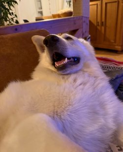 IMG_9478.jpeg IMG_9478.jpeg