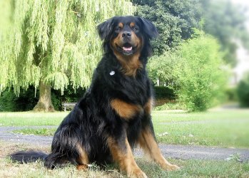 1764976887817.jpeg 1764976887817.jpeg