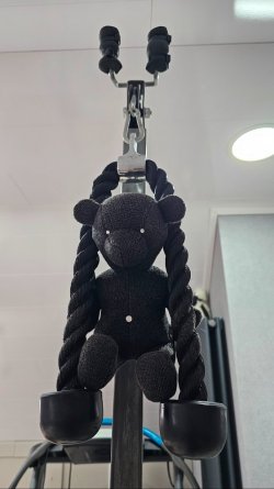 Screenshot_20251206_125148_Gallery.jpg Screenshot_20251206_125148_Gallery.jpg