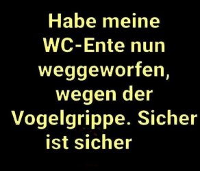 1000040367.jpg 1000040367.jpg