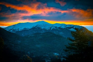 N85 - Napoléon - dez25 (59).jpg N85 - Napoléon - dez25 (59).jpg