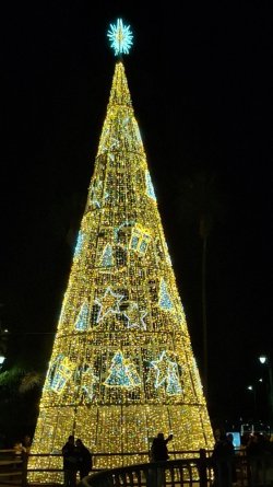 20251207_221819.jpg 20251207_221819.jpg