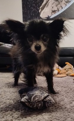 IMG-20251208-WA0004.jpg IMG-20251208-WA0004.jpg