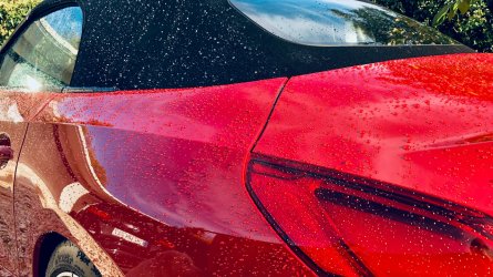 IMG_9140_jpg.jpeg IMG_9140_jpg.jpeg