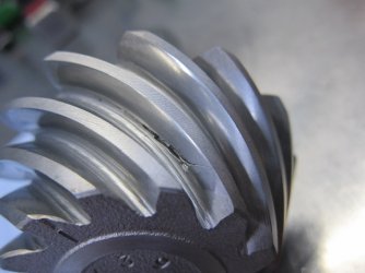 IMG_8642.jpeg IMG_8642.jpeg