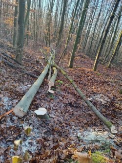 IMG-20251211-WA0007.jpg IMG-20251211-WA0007.jpg