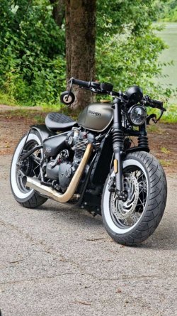 9845_735832911.jpeg 9845_735832911.jpeg