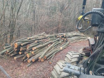 1000099995.jpg 1000099995.jpg