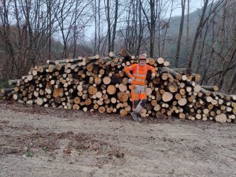 IMG-20251213-WA0019.jpg IMG-20251213-WA0019.jpg