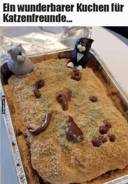Katzenstreu-Kuchen_Naschen_auf_eigene_Gefahr.jpg