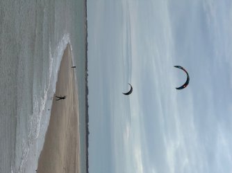 IMG_0367.jpeg IMG_0367.jpeg