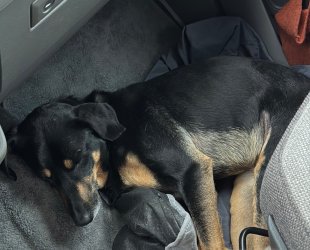 79646CD5-87A7-407C-8499-83880B0107B7.jpeg 79646CD5-87A7-407C-8499-83880B0107B7.jpeg