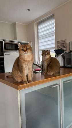 WhatsApp Image 2025-12-25 at 16.19.28.jpeg