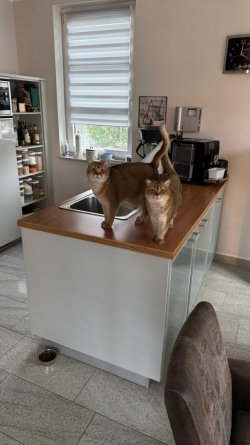 WhatsApp Image 2025-12-25 at 16.21.04.jpeg