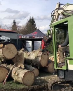 1766683543721.jpeg 1766683543721.jpeg