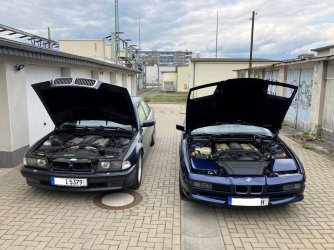 IMG_2173 - Kopie.jpg