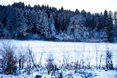 winter wonder gr 4wd (14).jpg