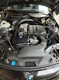 IMG_9490.jpeg IMG_9490.jpeg