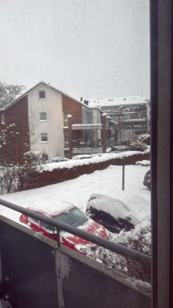 WhatsApp Image 2026-01-09 at 13.42.14.jpeg