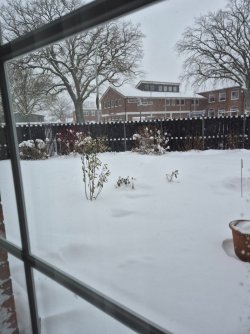 WhatsApp Image 2026-01-09 at 12.12.48.jpeg