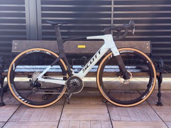 IMG_0746.jpeg IMG_0746.jpeg