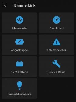 Screenshot_20260118_152824_BimmerLink.jpg