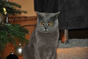 DSC_0289 Kopie.jpg