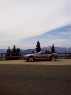 xBaumgrenze.jpg xBaumgrenze.jpg