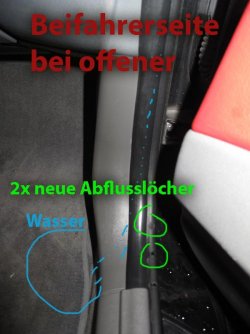 IMG_2251.jpg