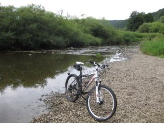 Donauversickerung 25.07.2010 (3).jpg