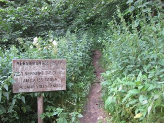 Donauversickerung 25.07.2010 (8).jpg