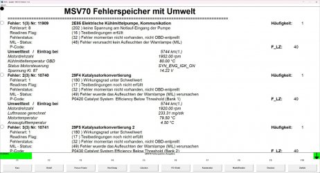 INPA_Bild2_Fehlerspeicher_Details1.jpg