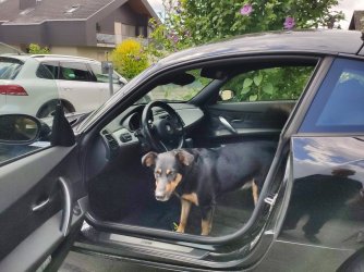 WhatsApp Image 2026-01-27 at 21.00.32 (2).jpeg