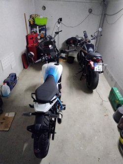 IMG_20260217_191226.JPG IMG_20260217_191226.JPG