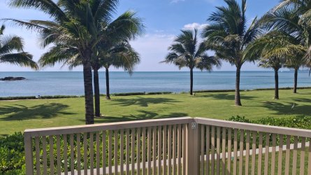 20260220_150752.jpg 20260220_150752.jpg